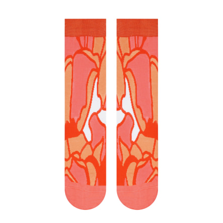 Crystal Socks - DESERT Collection - ANP|WWF® (2)