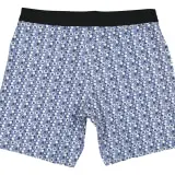 BOARDSHORTS VORTX_BLUE_Back_min